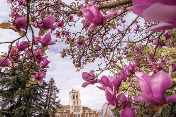 Faye Spanos Hall - March and April