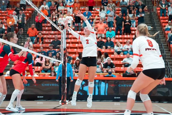 Volleyball player goes up for the set