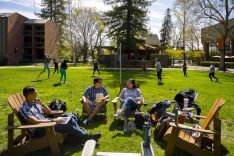 the quad with volleyball in the background