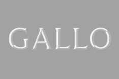 Gallo