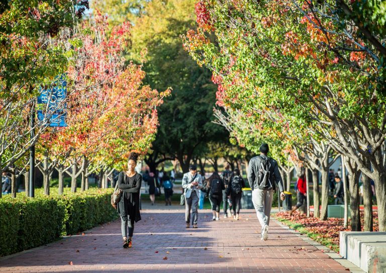 students walk on campus in the fall