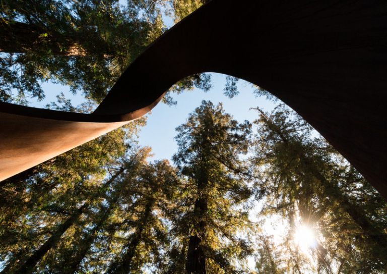 sculpture in redwood grove on campus