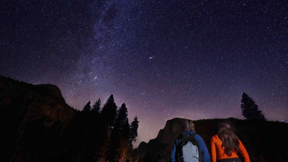 Students in Yosemite gazing at the starry sky above