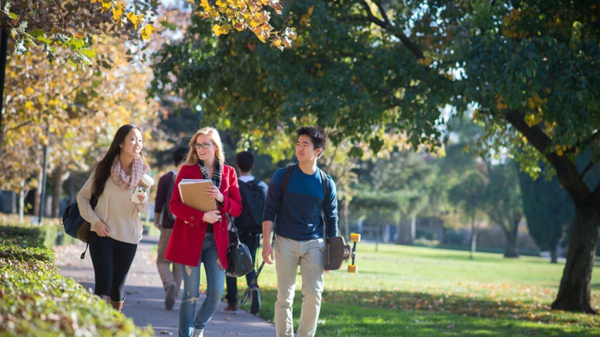 Students on campus