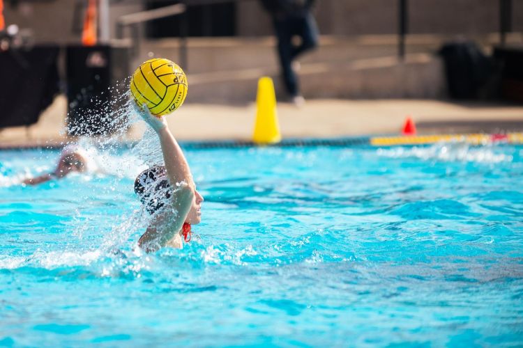 a water polo player prepares to throw the ball