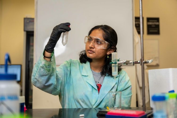 Simran Pravin was one of 11 chemistry and biochemistry majors who took part in the Stauffer research program.