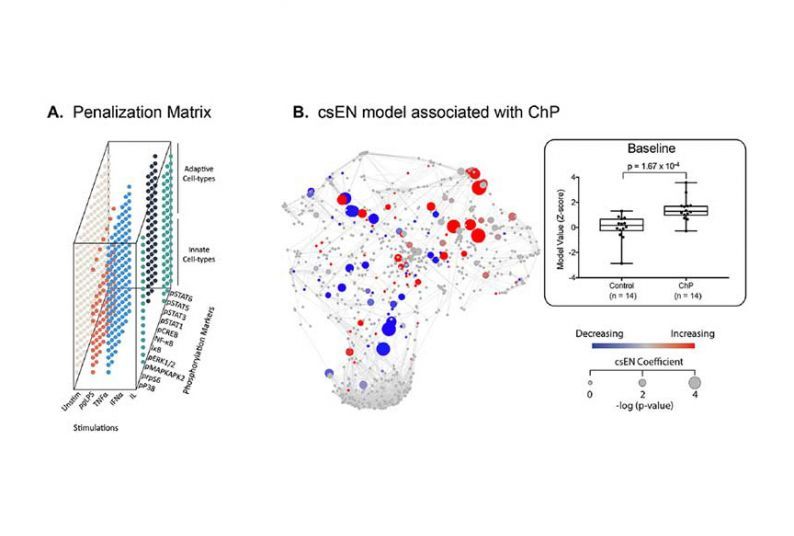 A cell signaling–based elastic net (csEN) analysis identifies systemic immune signaling features associated with chronic periodontitis (ChP). (A) We adapted a previously implemented cell signaling–based penalization matrix for the csEN analysis that accounted for whether a cell type– and receptor-specific signaling response to each stimulation condition is supported by prior knowledge of signal transduction pathways. (B) (Left panel) The csEN identified immune signaling features that differentiate samples f