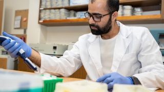 Graduate student conducting research in lab