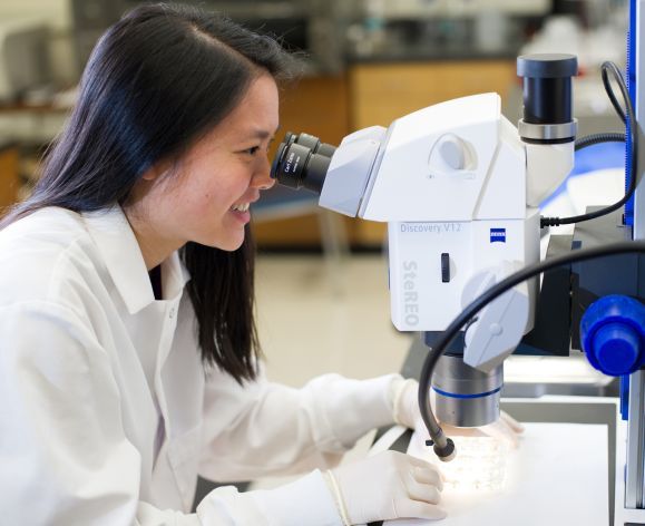 Female scientist looking into microscope 